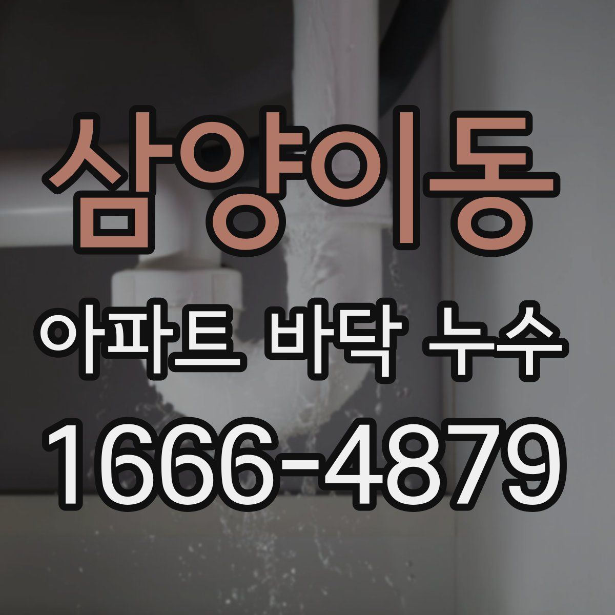 삼양이동 아파트 바닥 누수