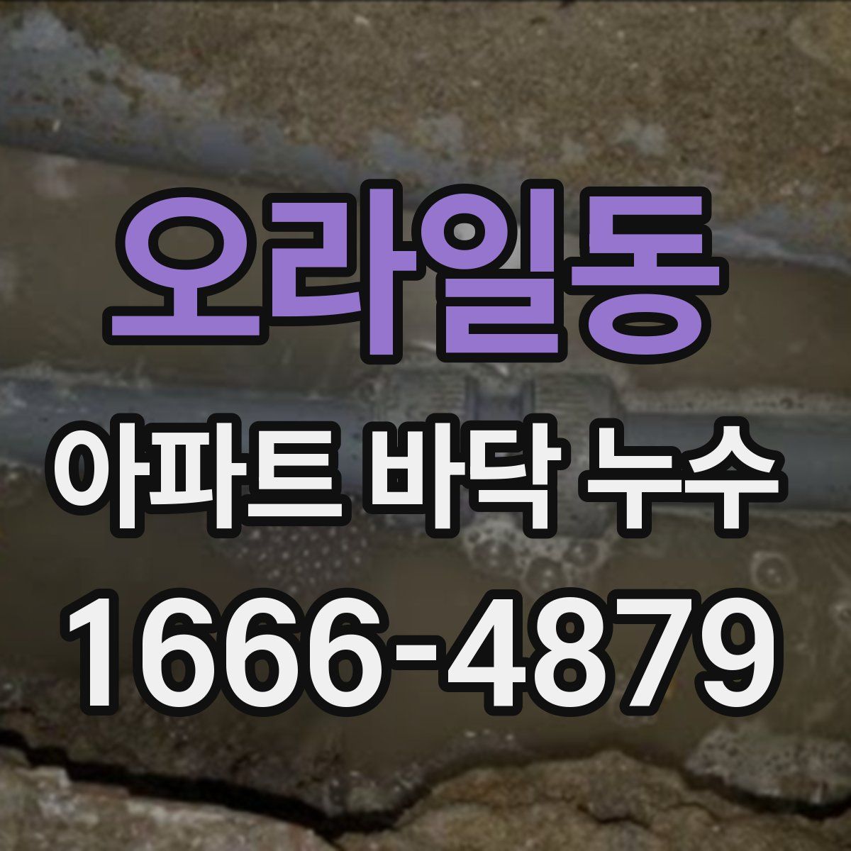 오라일동 아파트 바닥 누수
