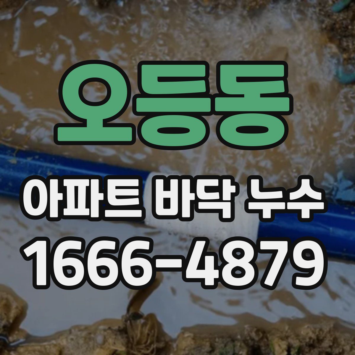 오등동 아파트 바닥 누수