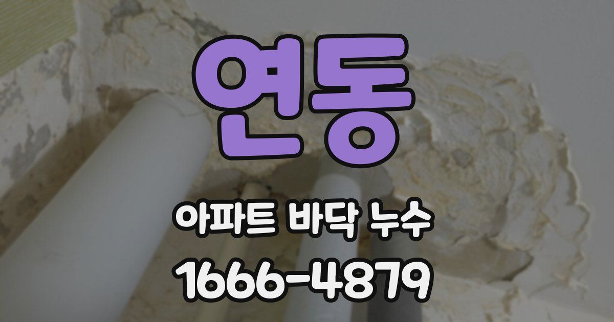연동 아파트 바닥 누수