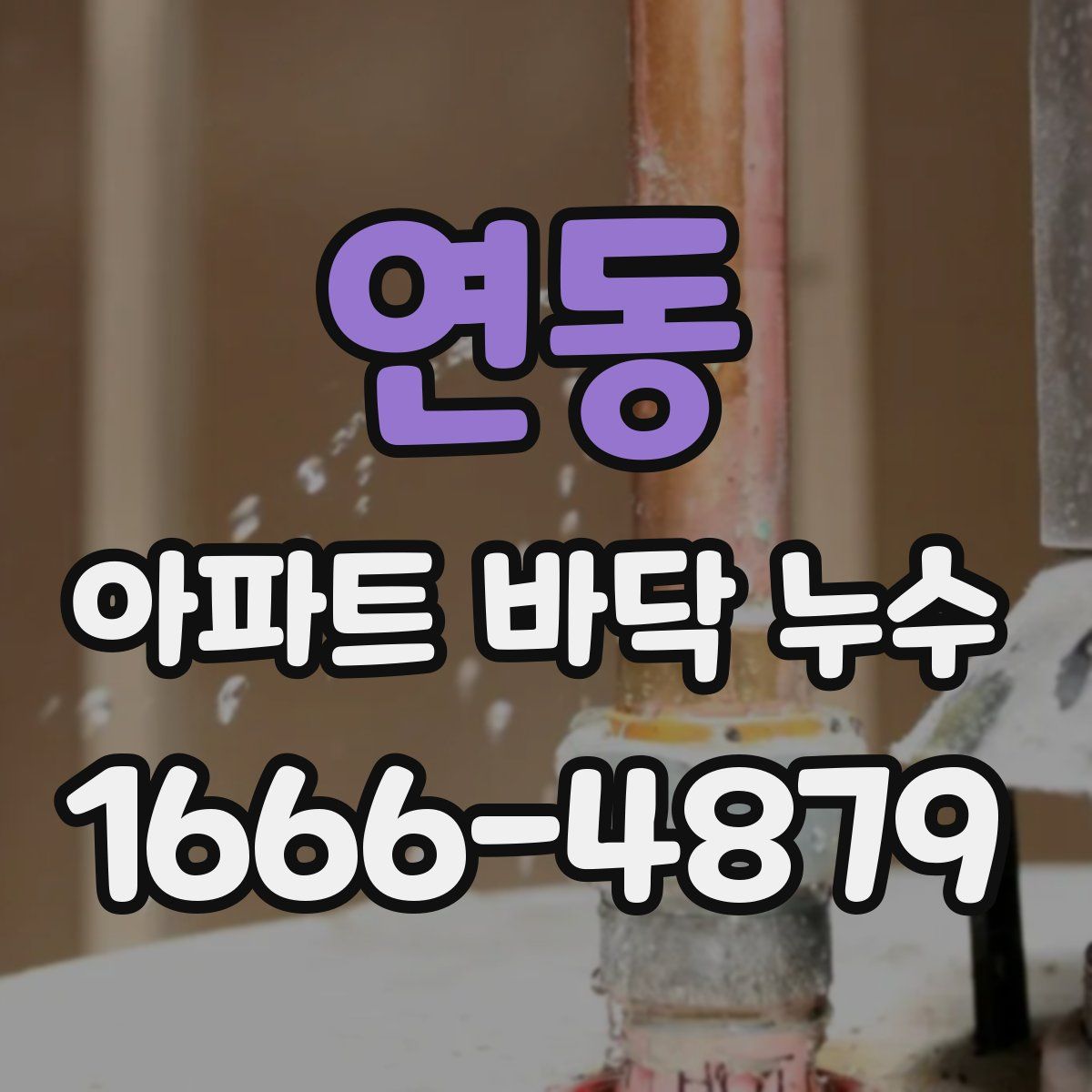 연동 아파트 바닥 누수