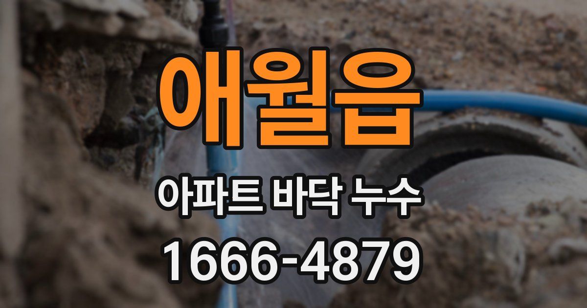 애월읍 아파트 바닥 누수