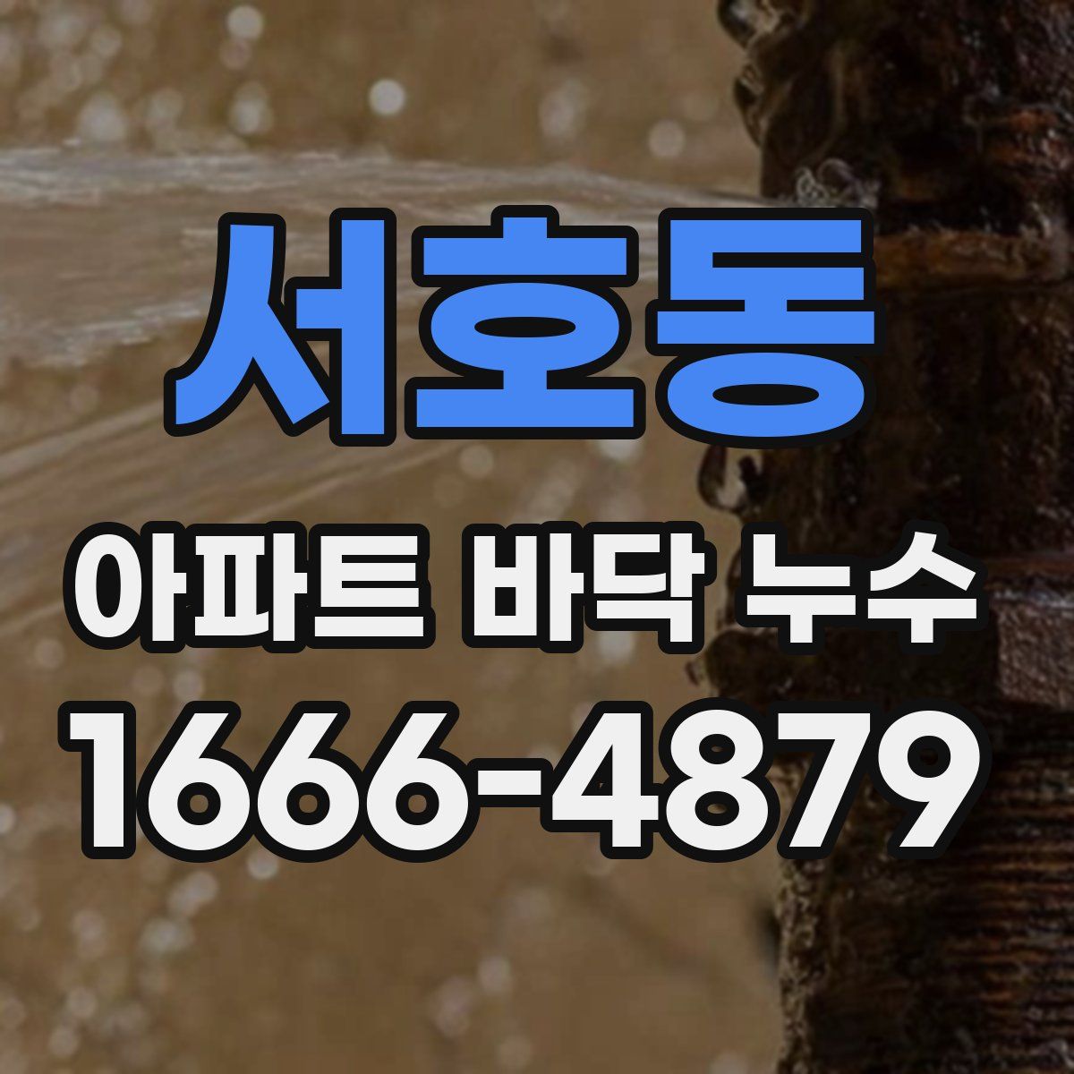 서호동 아파트 바닥 누수