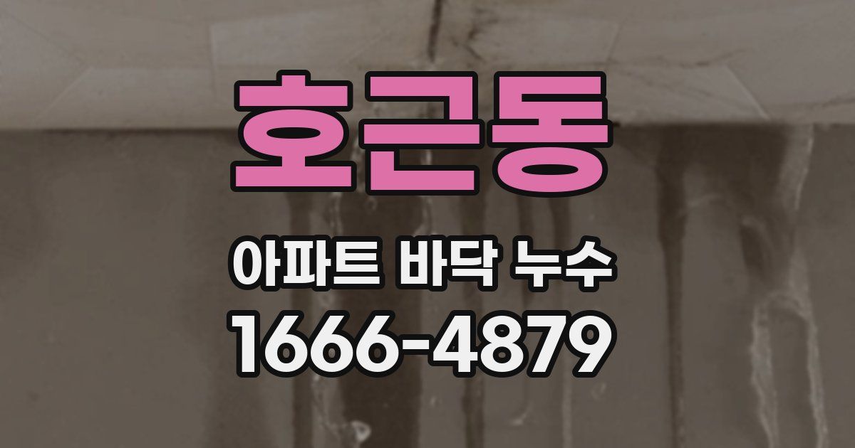 호근동 아파트 바닥 누수