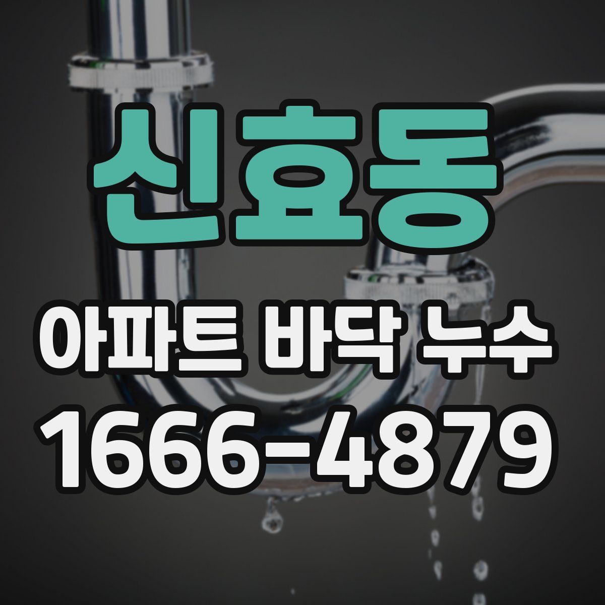 신효동 아파트 바닥 누수