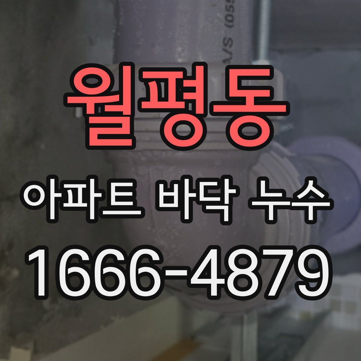 월평동 아파트 바닥 누수