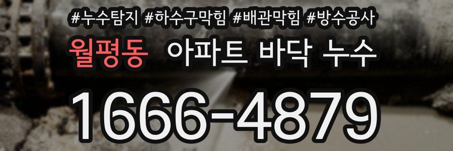 월평동 아파트 바닥 누수