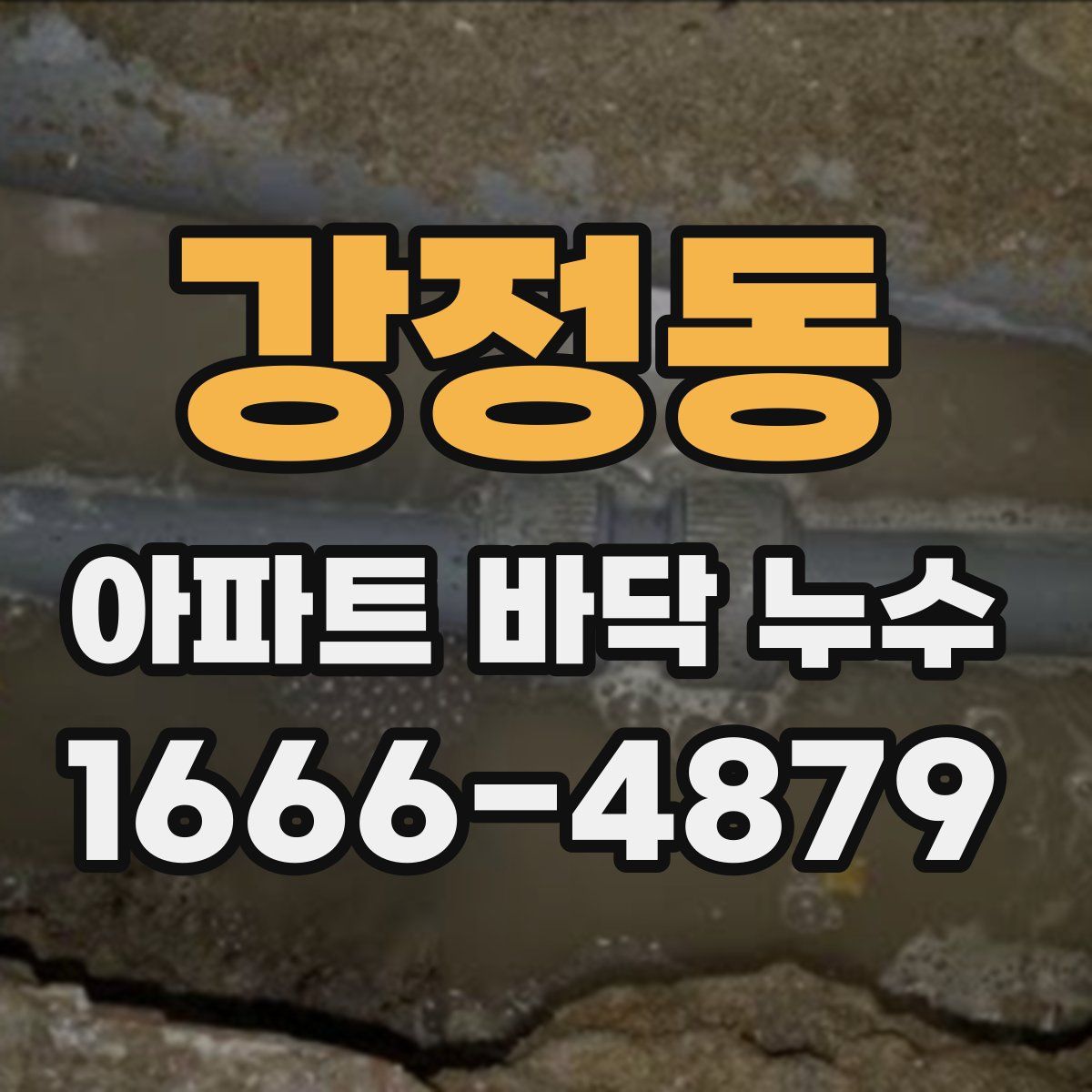 강정동 아파트 바닥 누수