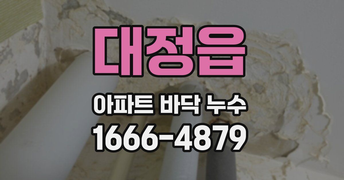 대정읍 아파트 바닥 누수