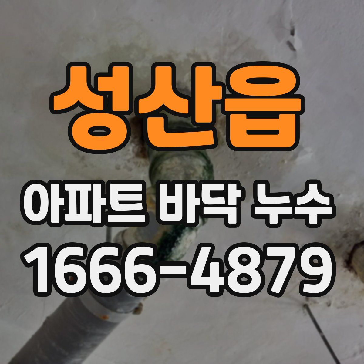 성산읍 아파트 바닥 누수