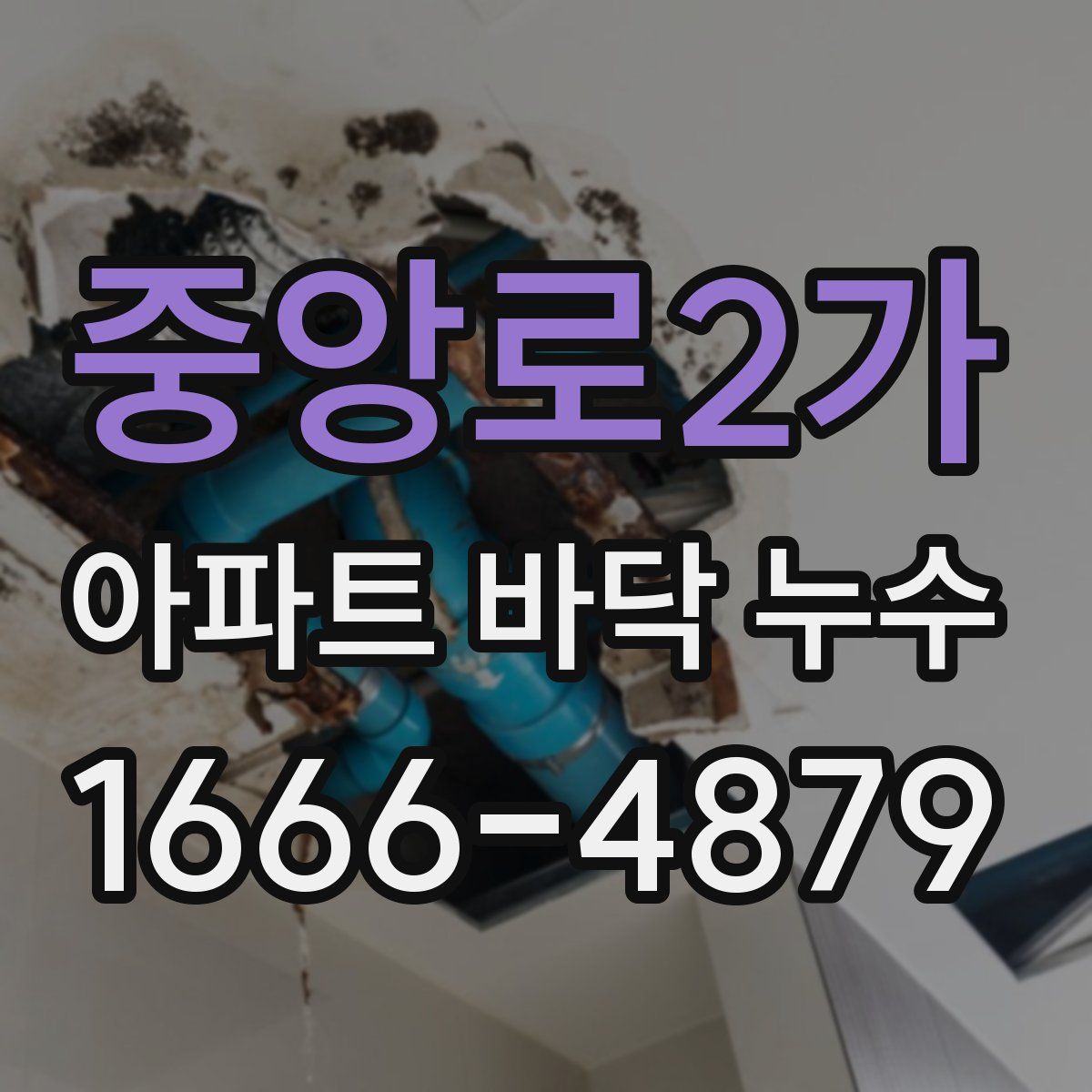 중앙로2가 아파트 바닥 누수
