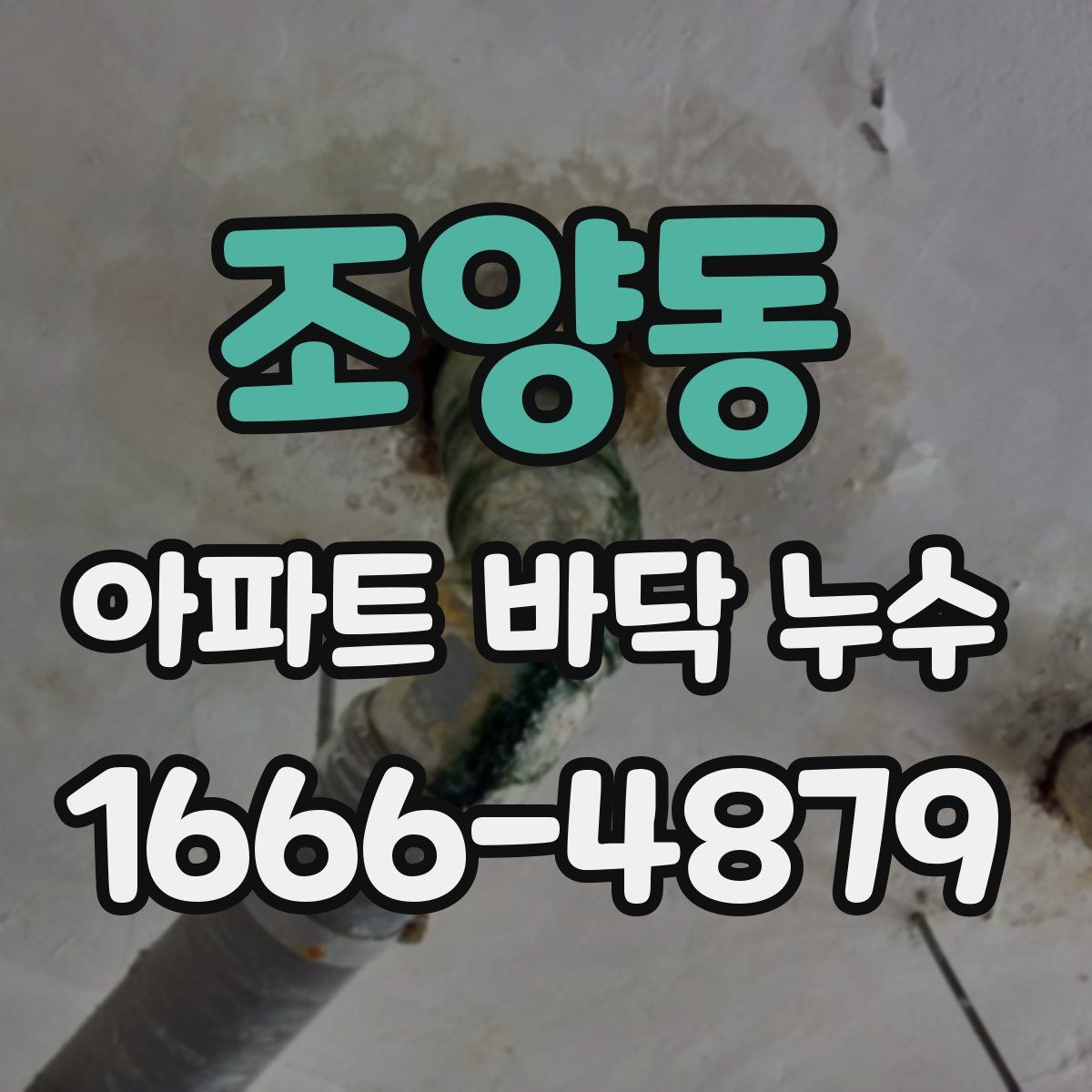 조양동 아파트 바닥 누수
