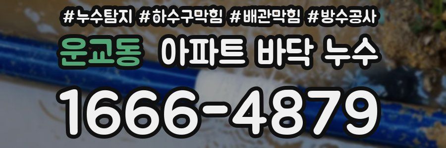 운교동 아파트 바닥 누수