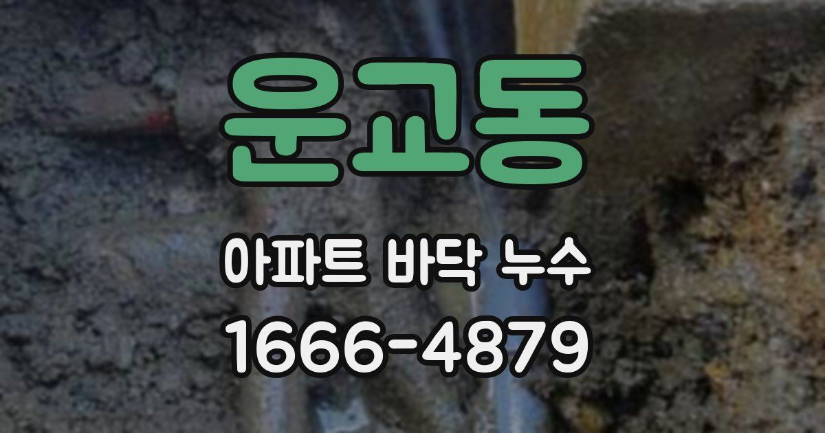 운교동 아파트 바닥 누수