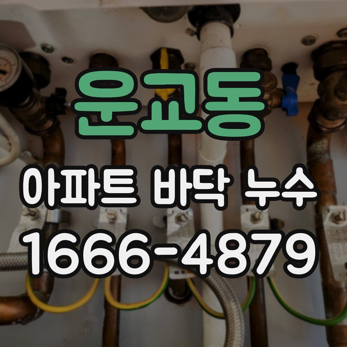 운교동 아파트 바닥 누수