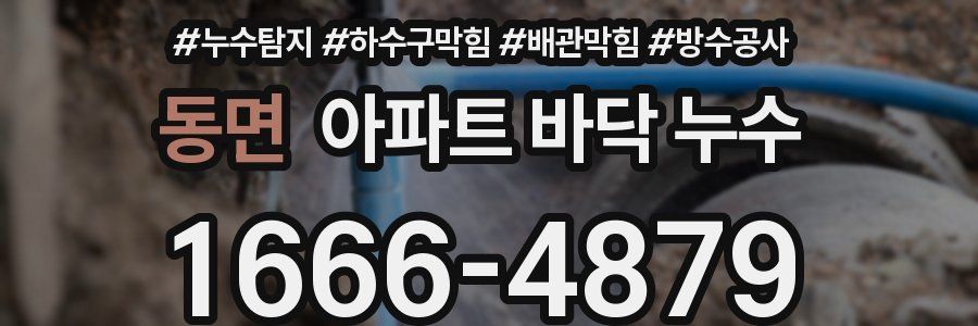 동면 아파트 바닥 누수