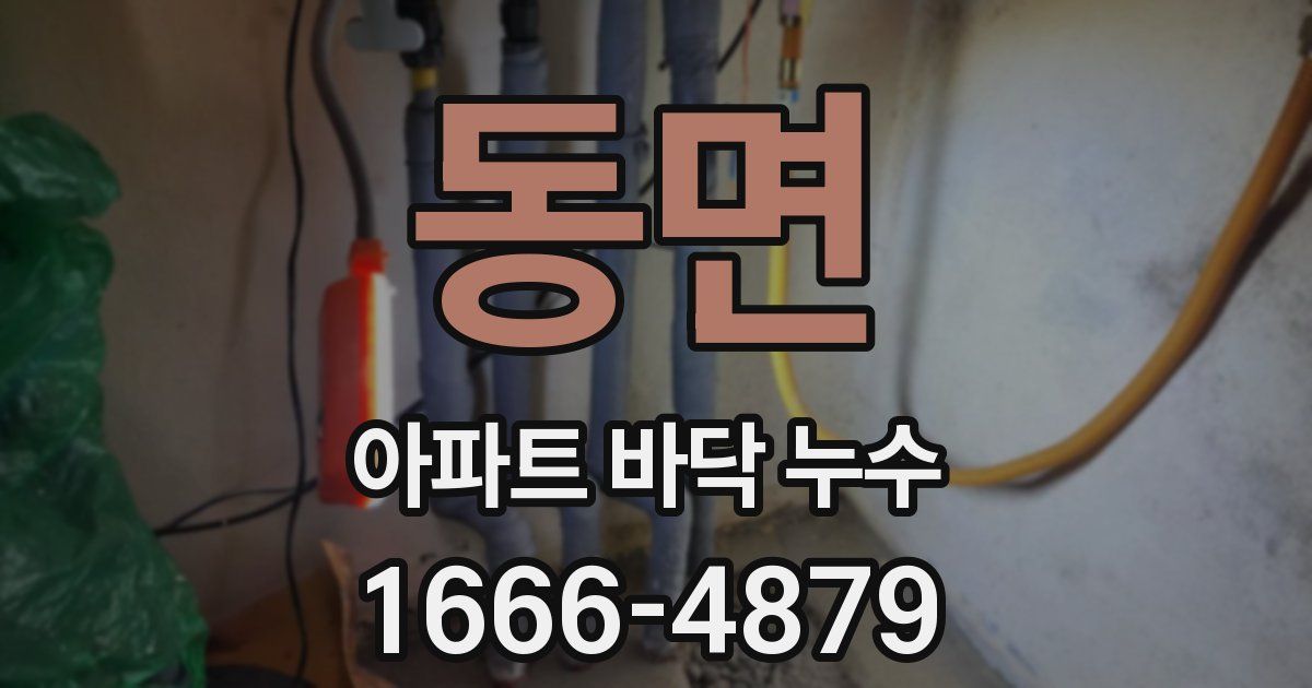 동면 아파트 바닥 누수