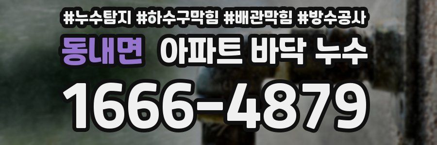 동내면 아파트 바닥 누수