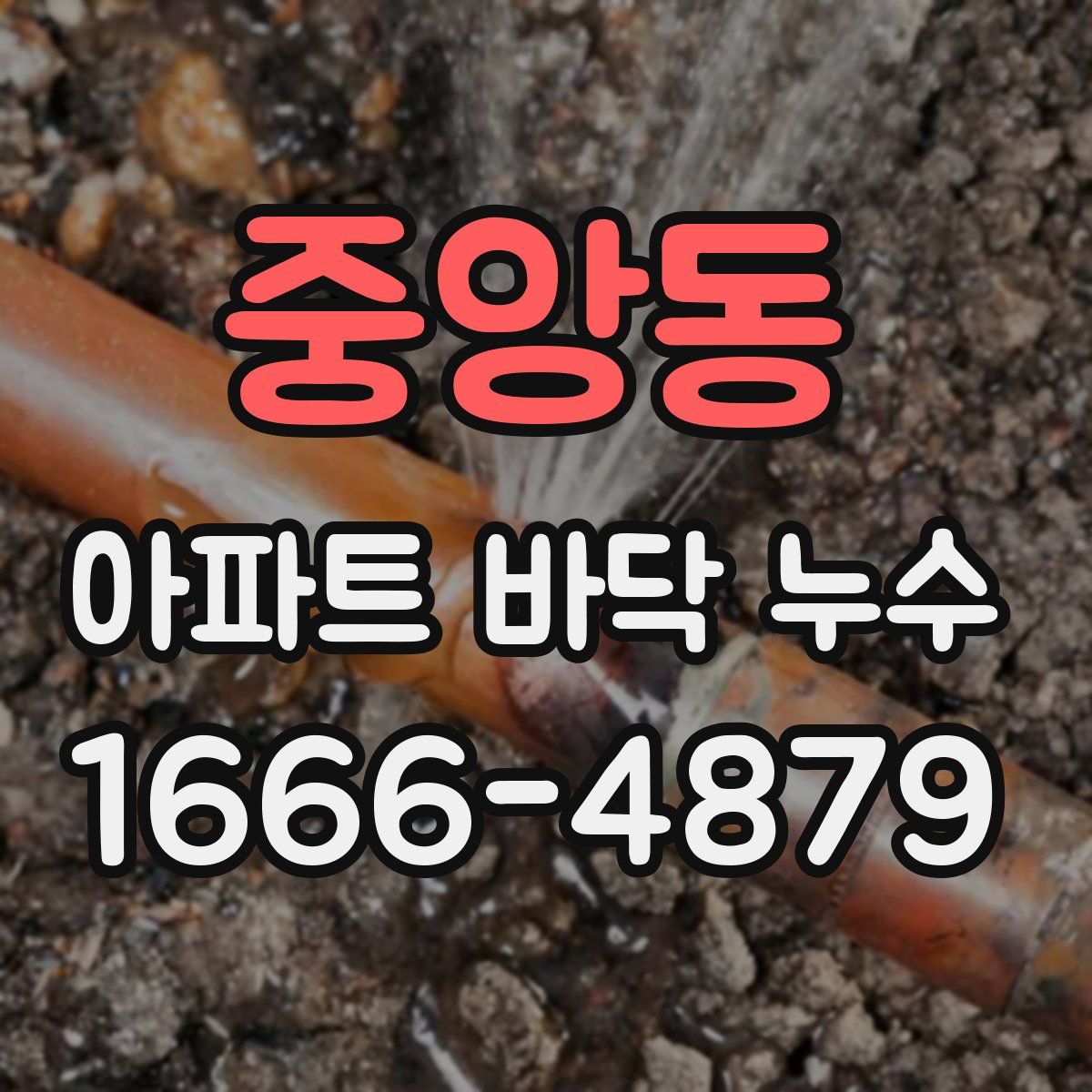 중앙동 아파트 바닥 누수