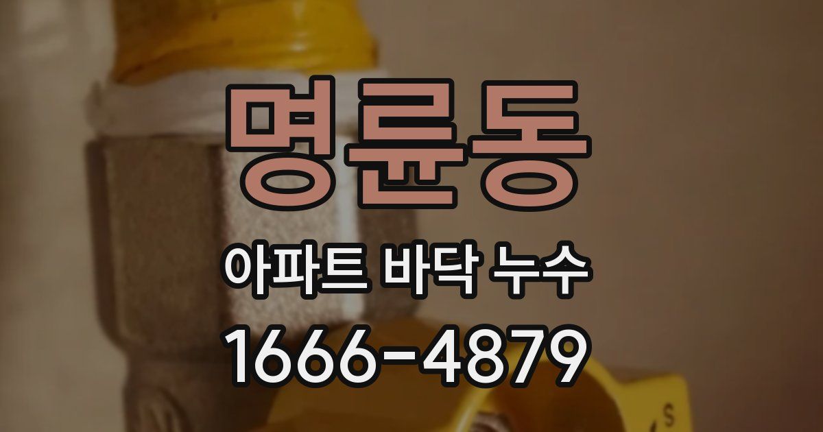 명륜동 아파트 바닥 누수