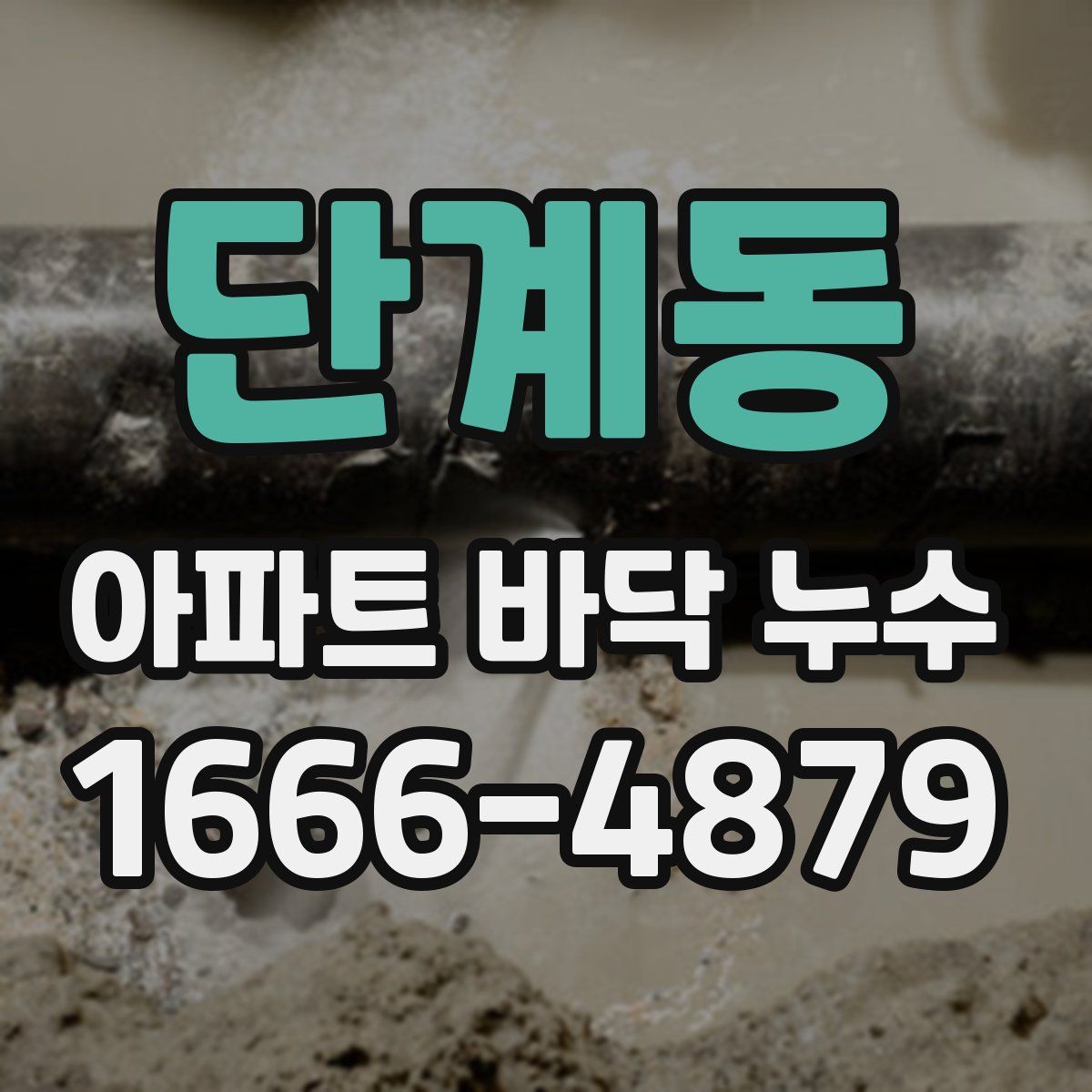 단계동 아파트 바닥 누수