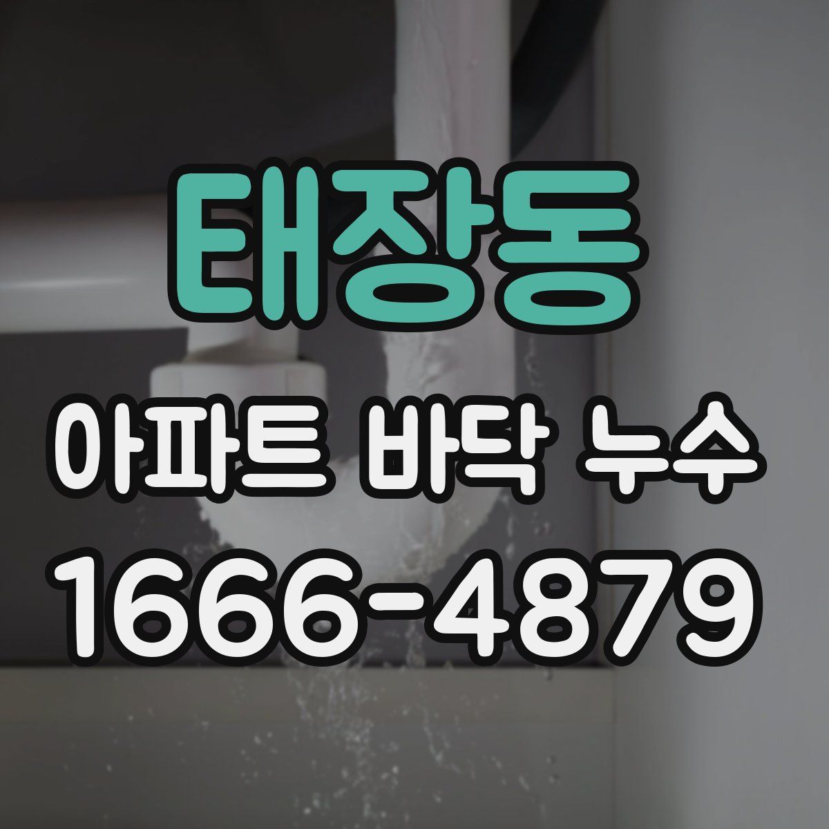 태장동 아파트 바닥 누수