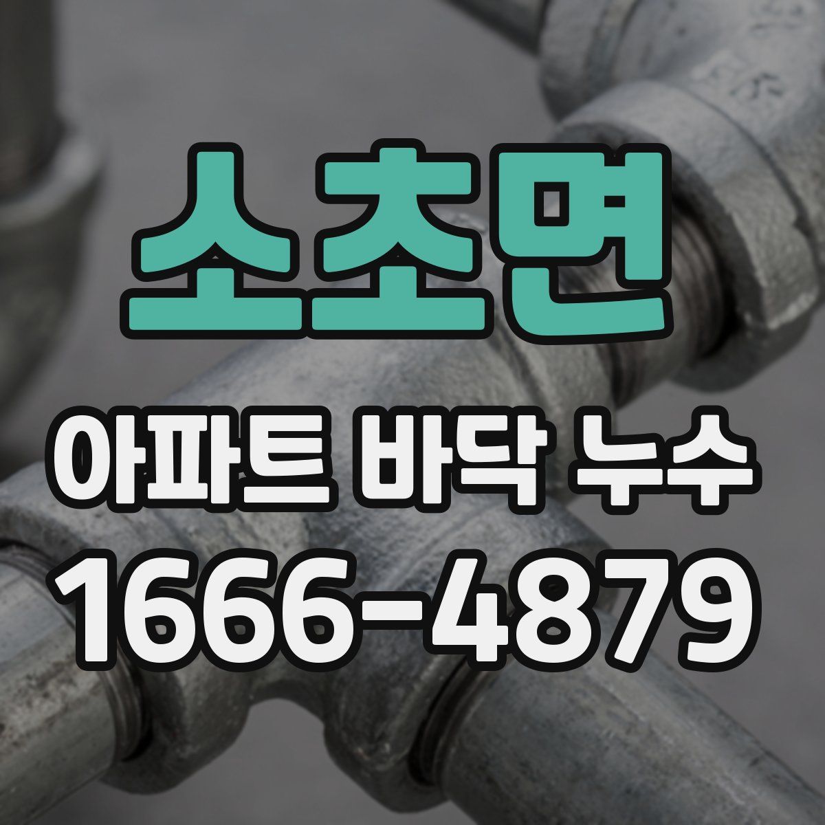 소초면 아파트 바닥 누수