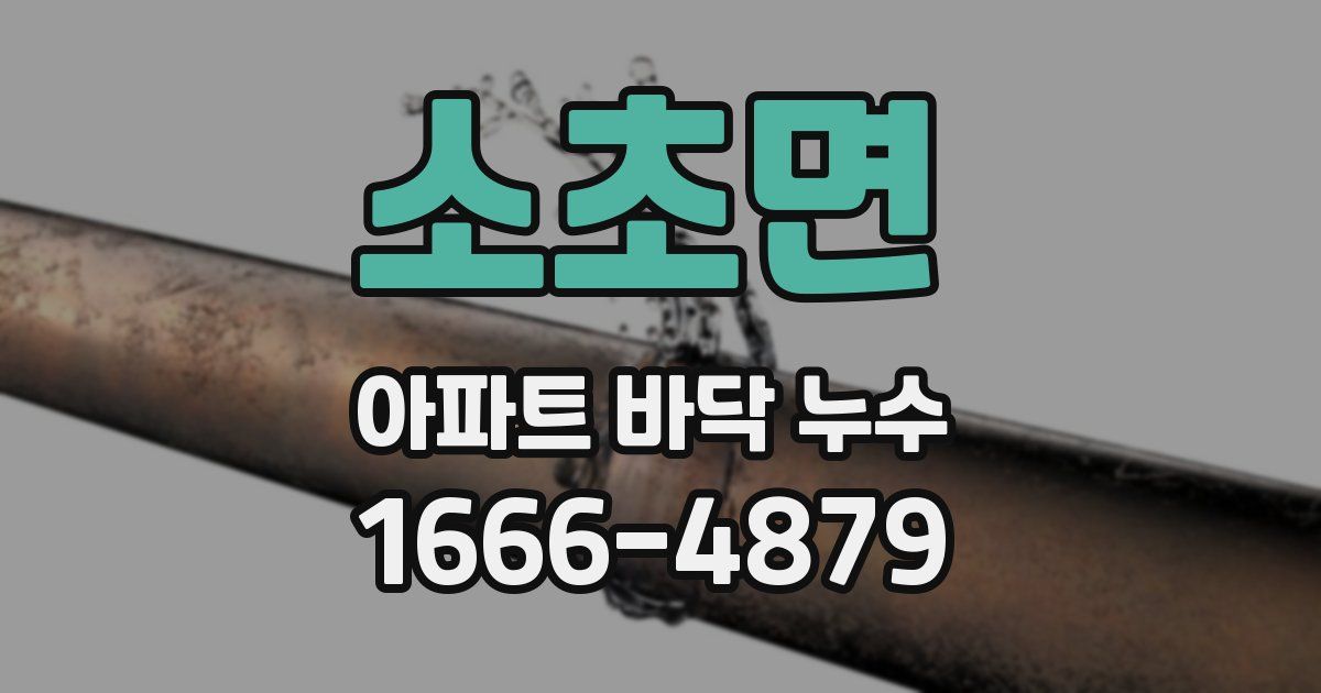 소초면 아파트 바닥 누수