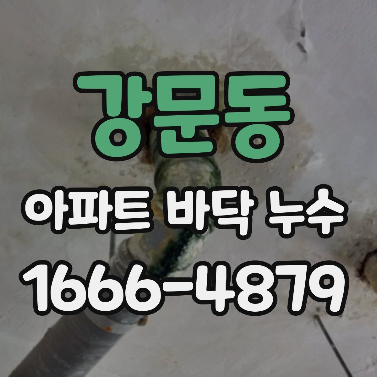 강문동 아파트 바닥 누수