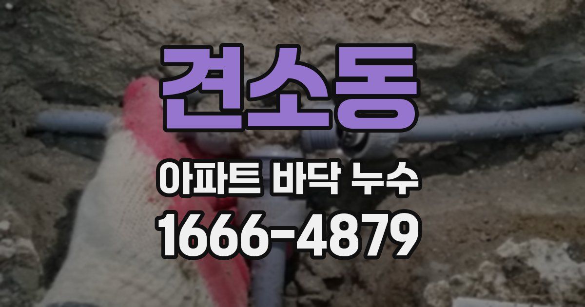 견소동 아파트 바닥 누수