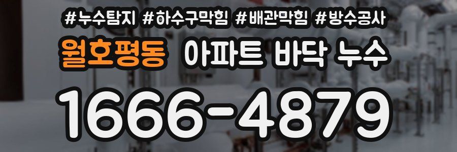 월호평동 아파트 바닥 누수