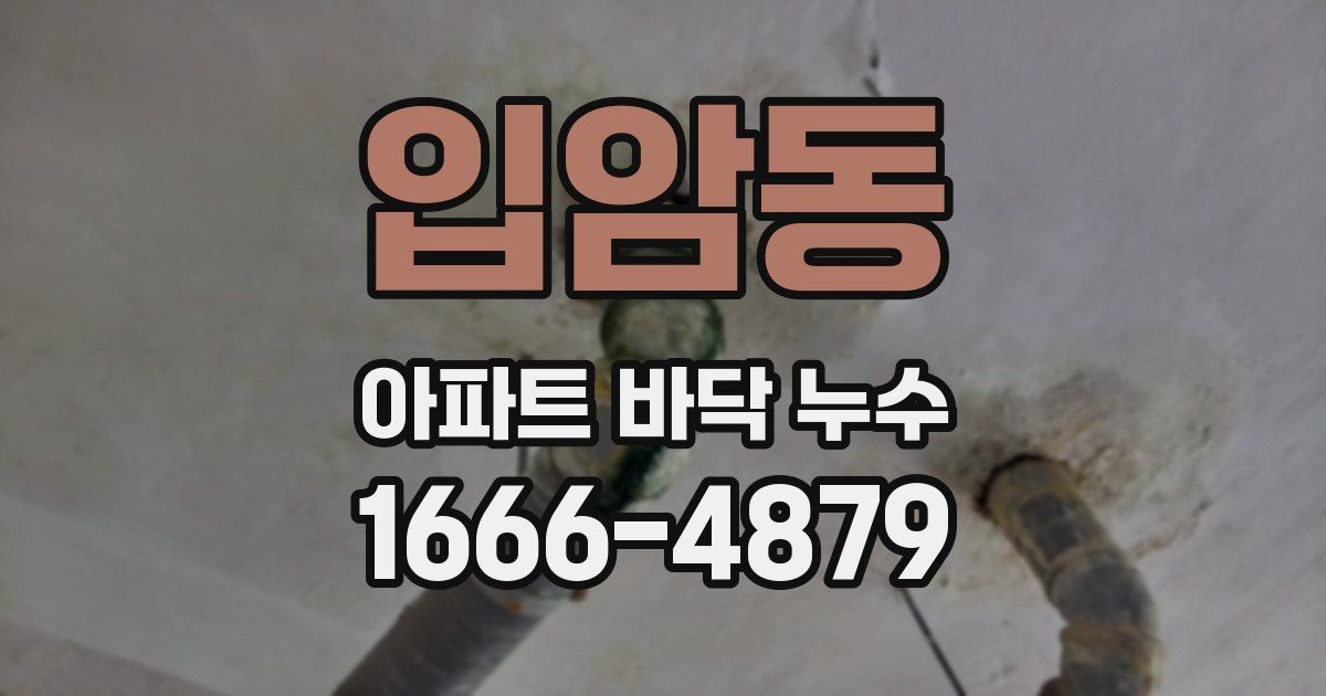 입암동 아파트 바닥 누수