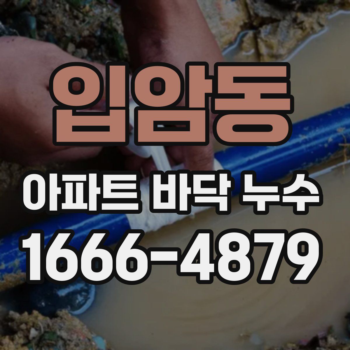 입암동 아파트 바닥 누수