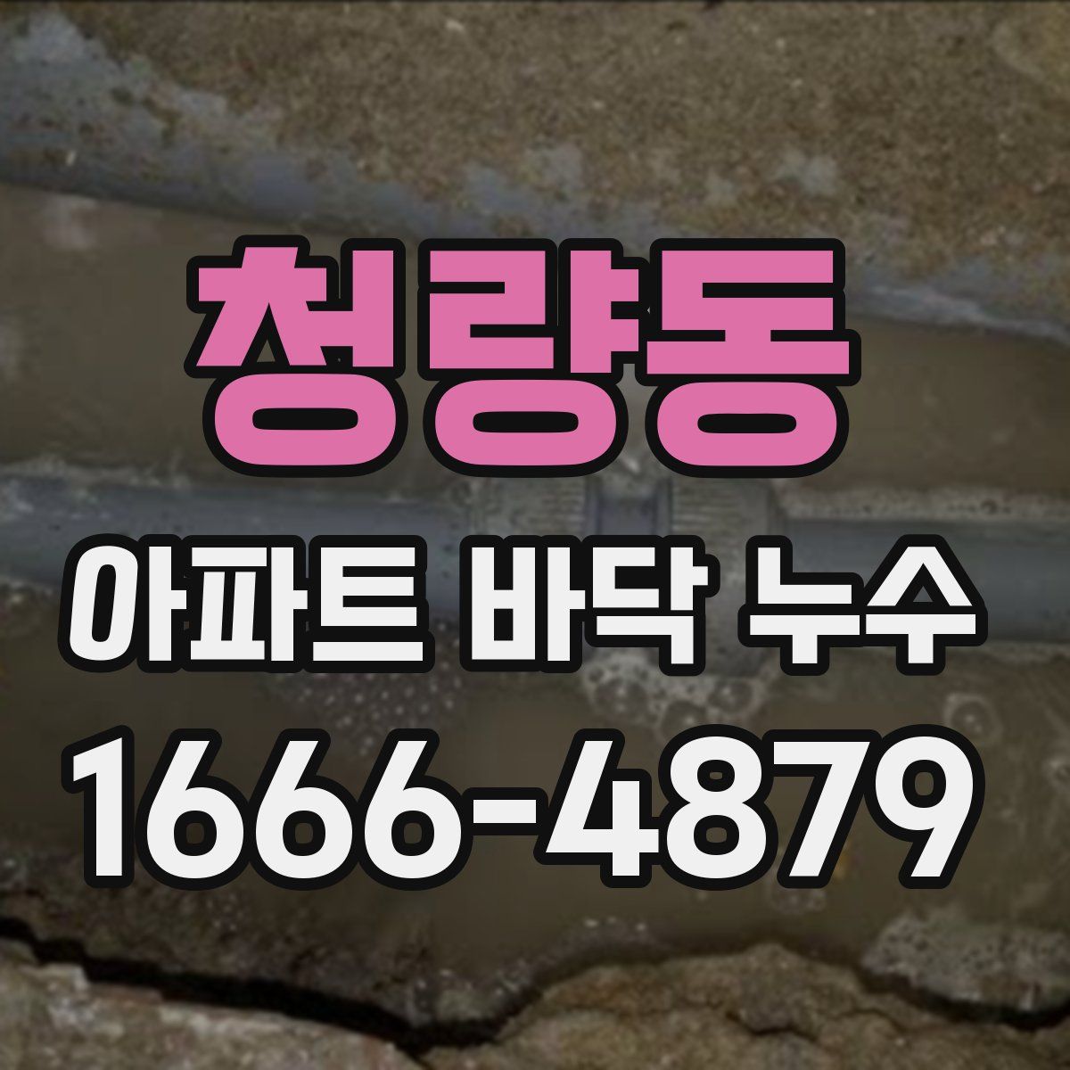 청량동 아파트 바닥 누수
