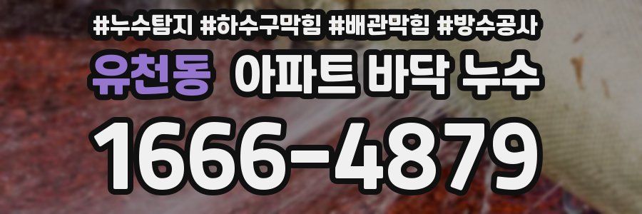 유천동 아파트 바닥 누수