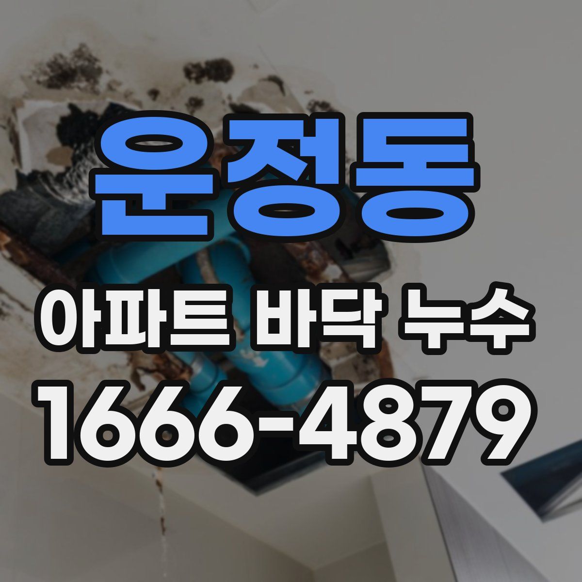 운정동 아파트 바닥 누수