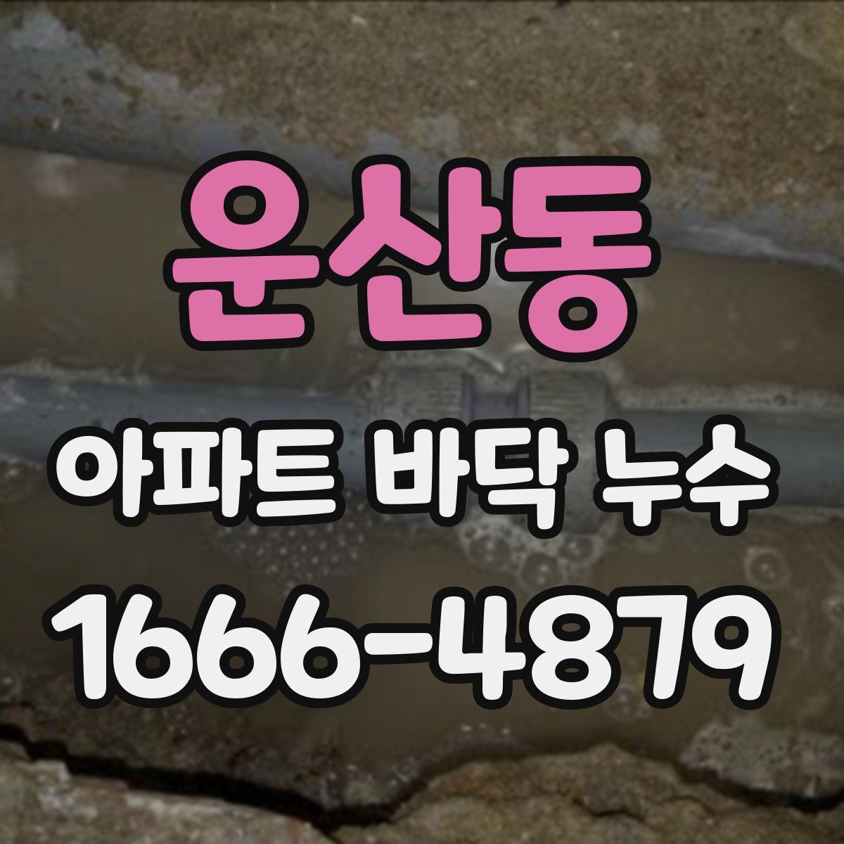 운산동 아파트 바닥 누수