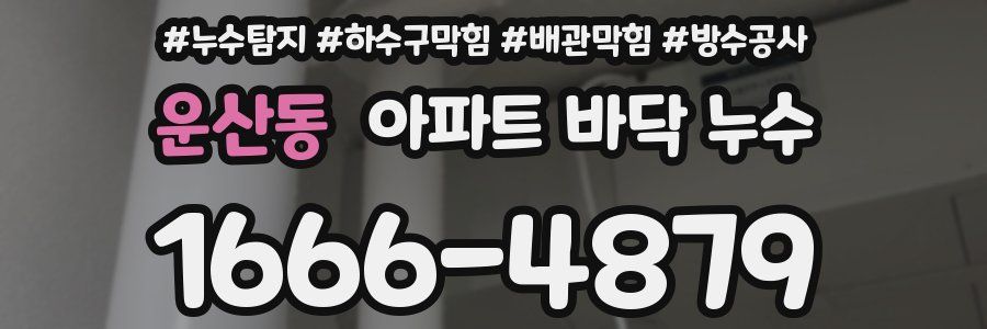 운산동 아파트 바닥 누수