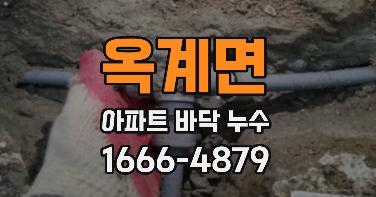 옥계면 아파트 바닥 누수
