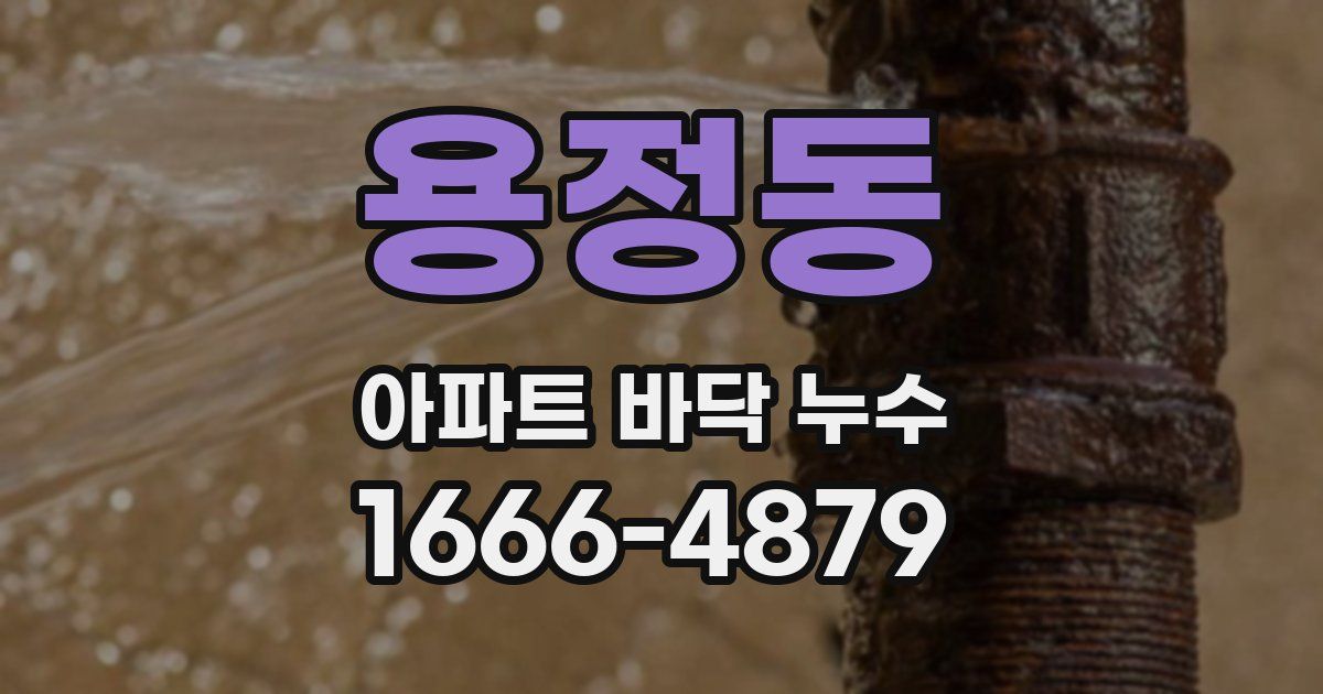 용정동 아파트 바닥 누수