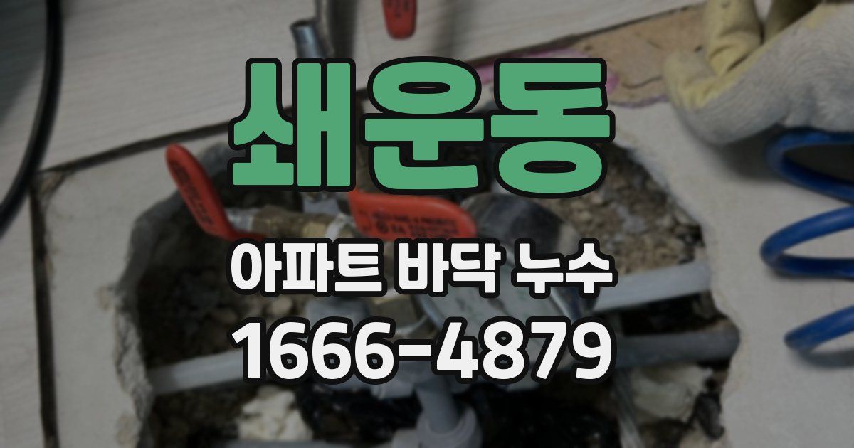 쇄운동 아파트 바닥 누수