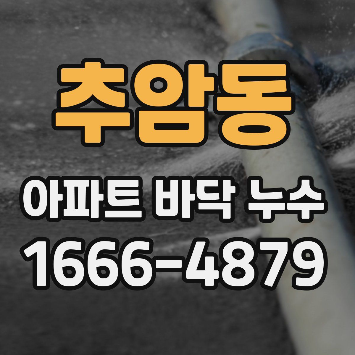 추암동 아파트 바닥 누수