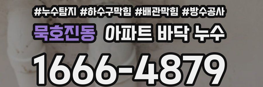 묵호진동 아파트 바닥 누수