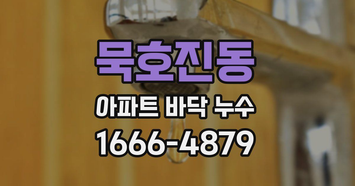 묵호진동 아파트 바닥 누수