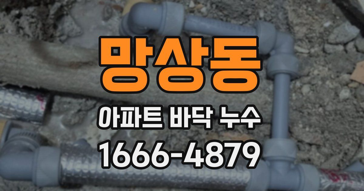 망상동 아파트 바닥 누수
