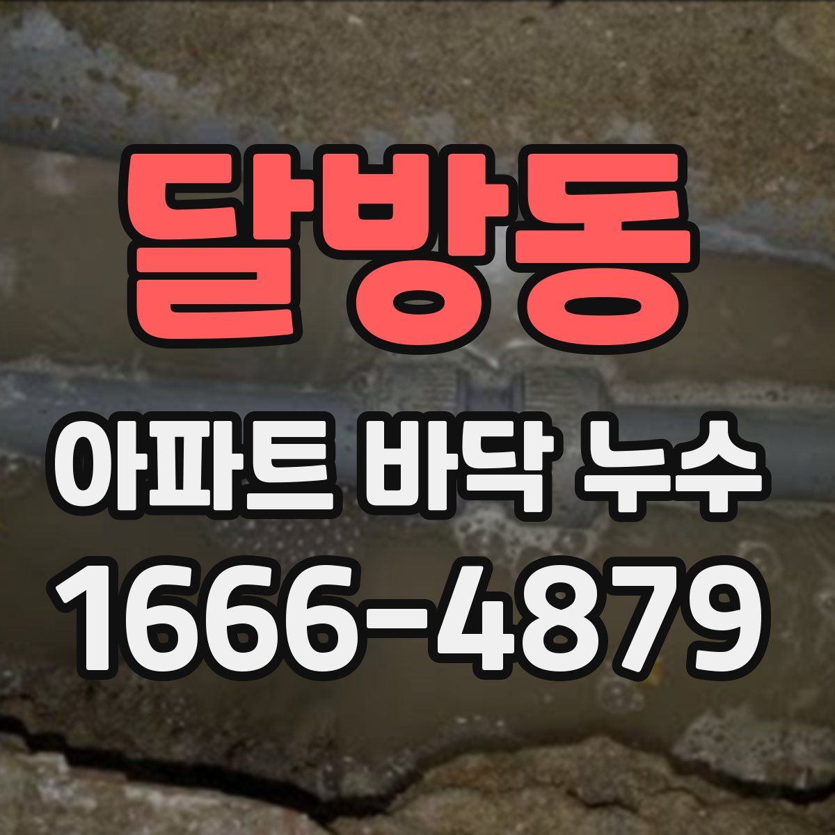 달방동 아파트 바닥 누수