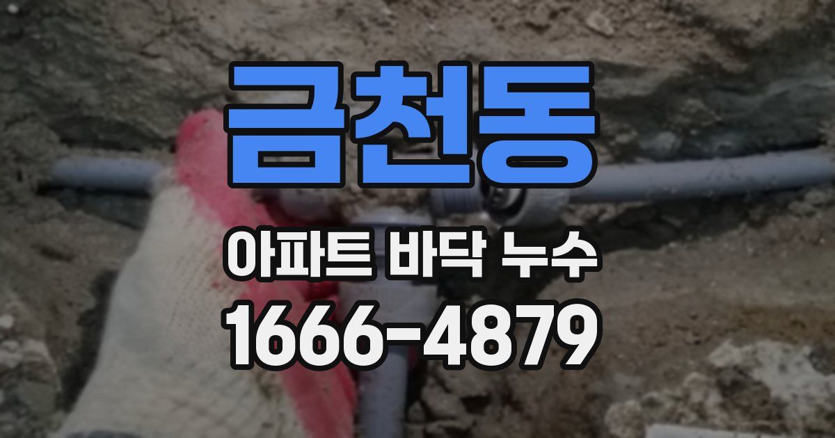 금천동 아파트 바닥 누수