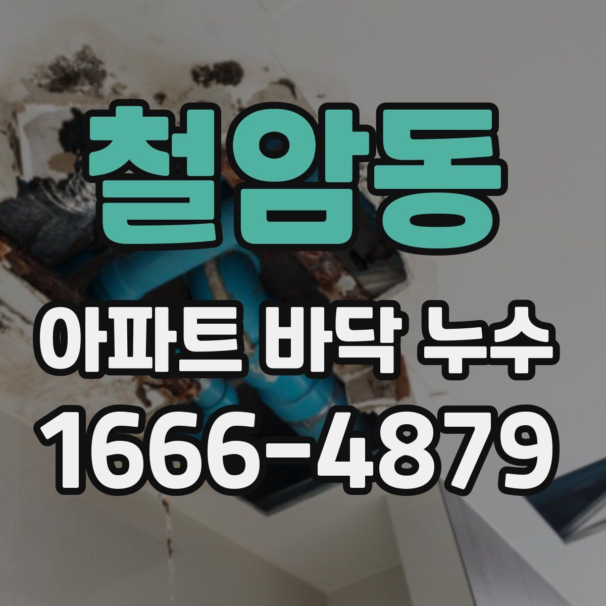 철암동 아파트 바닥 누수