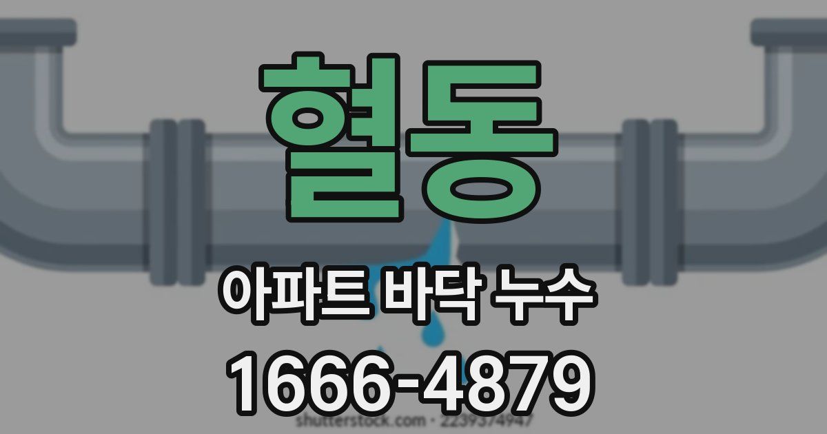 혈동 아파트 바닥 누수