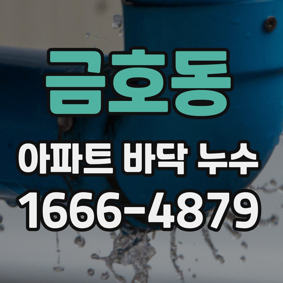 금호동 아파트 바닥 누수